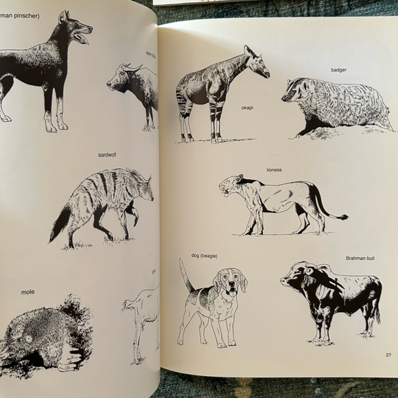 Bundle of Clip Art Books (4) - Picture 13 of 15